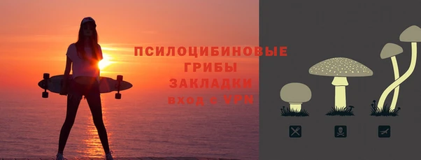 дмт Гусь-Хрустальный