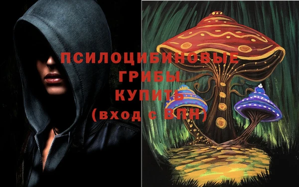 дмт Гусиноозёрск