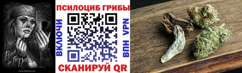 Псилоцибиновые грибы прущие грибы Купить где Осташков